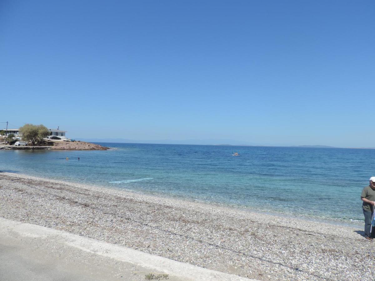 Apartment Fotis *