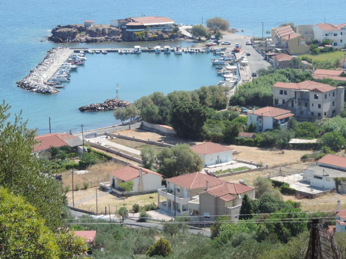 Fotis Apartment