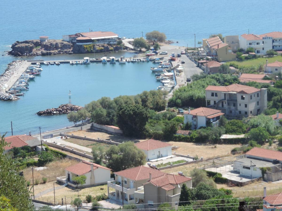 Fotis * Skala Neon Kydonion