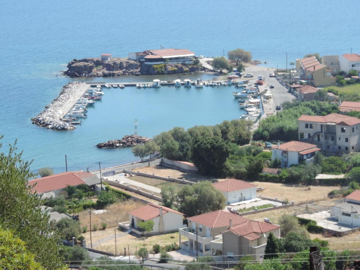 Fotis * Skala Neon Kydonion