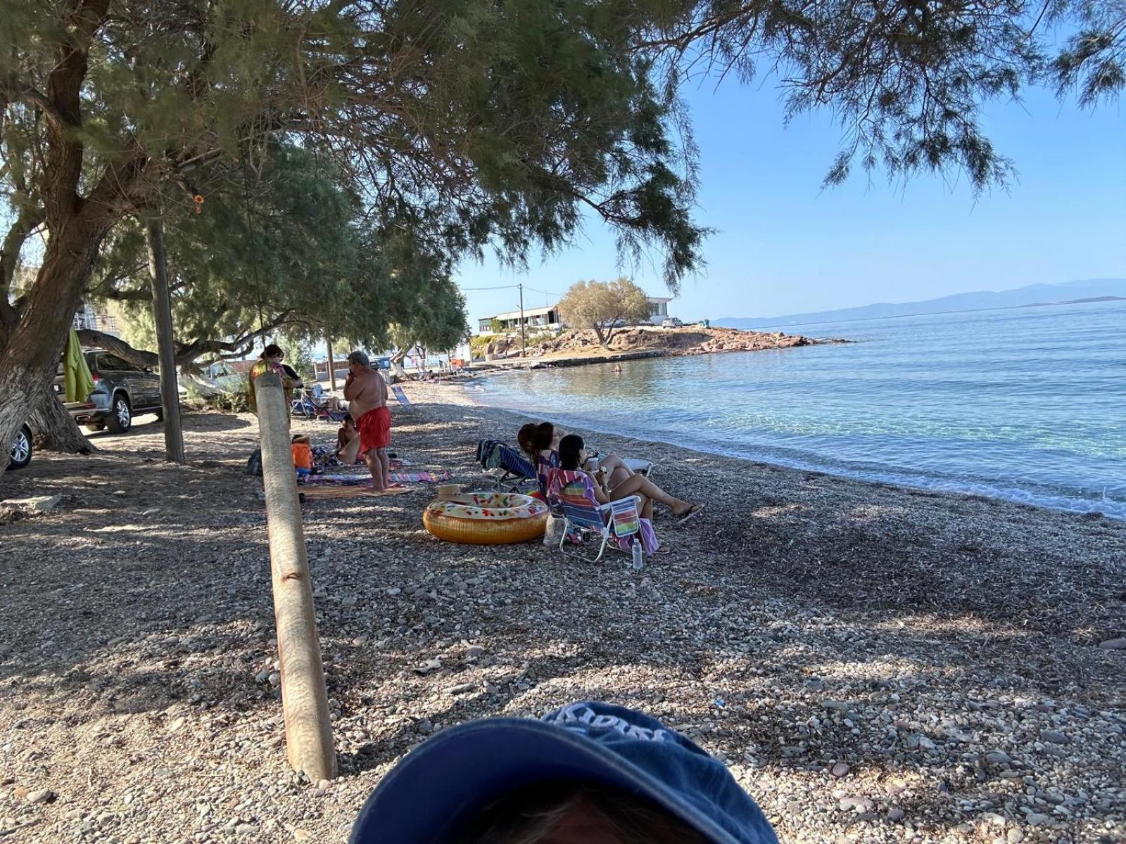 Fotis Skala Neon Kydonion