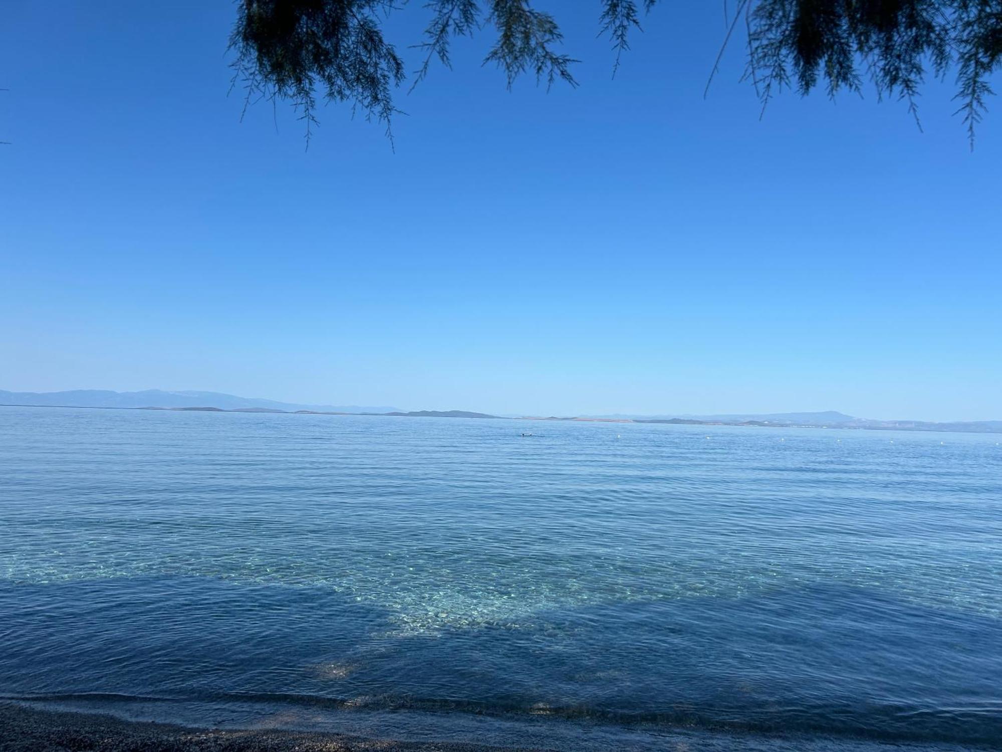 Fotis * Skala Neon Kydonion
