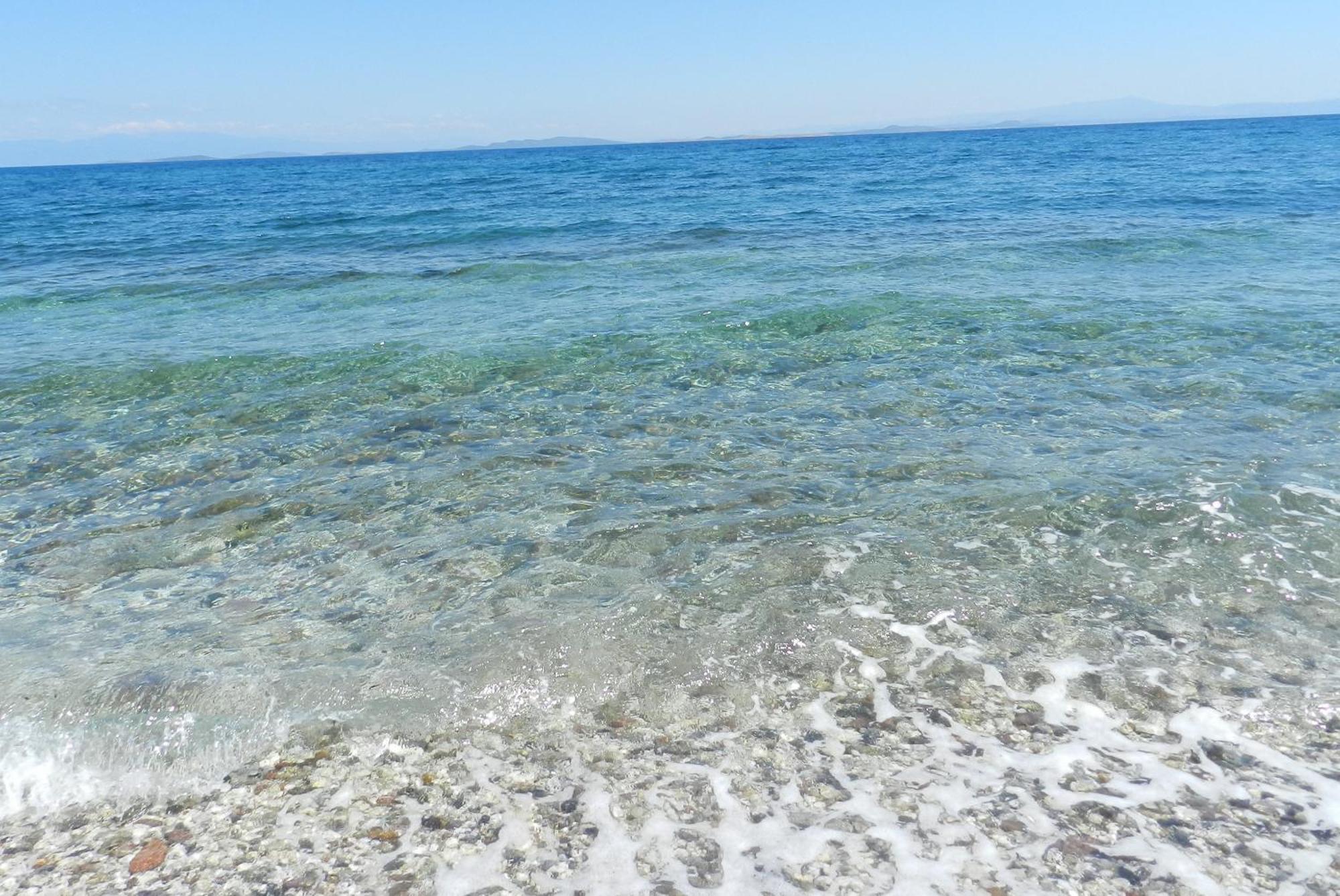 Apartment Fotis *