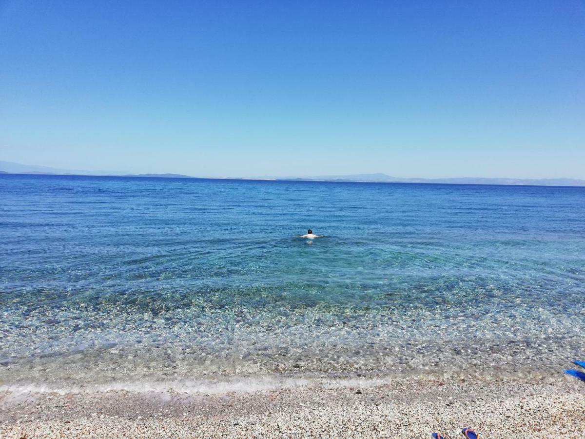 Apartment Fotis Skala Neon Kydonion